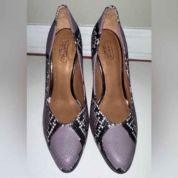 Coach Q3046 Urban Printed Snake Pumps
